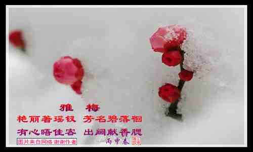 530雅梅.jpg