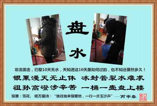 541盘水.jpg