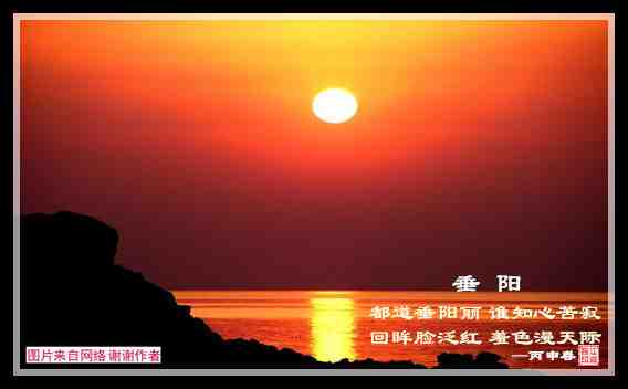 547垂阳.jpg