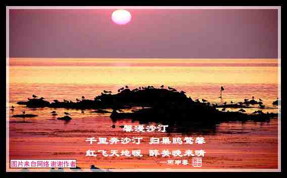 549漫馨沙汀.jpg