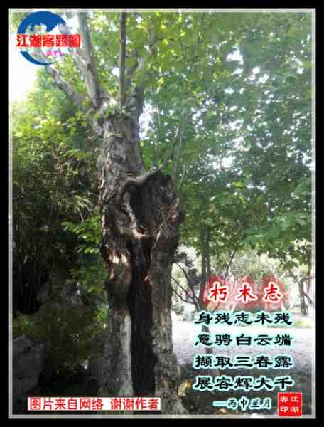 686朽木志.jpg