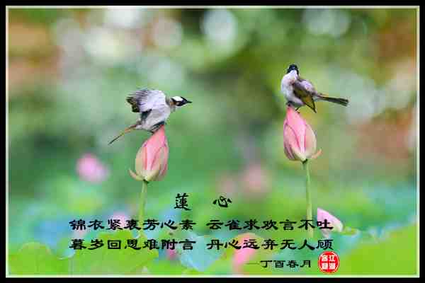 773欢雀.jpg