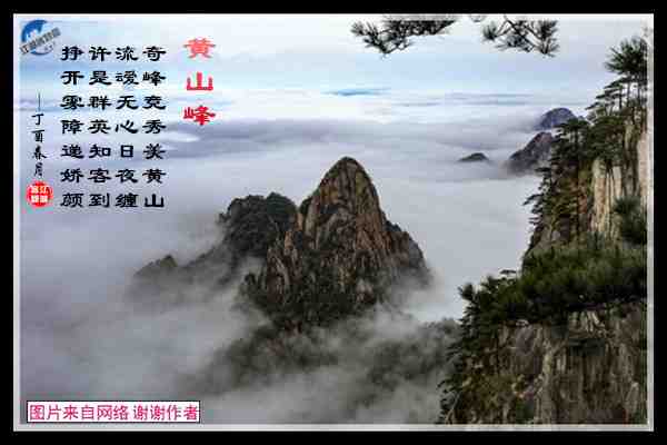 782黄山云海.jpg