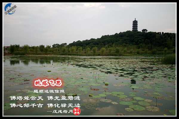 1239眺塔飞思.jpg