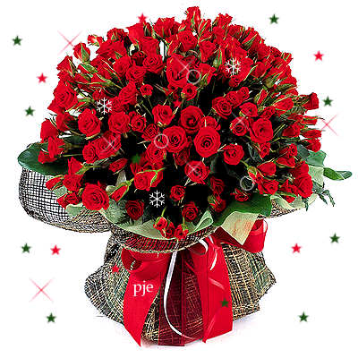 996D0D88-BCC8-470F-A8C7-49C9F20D8191.png