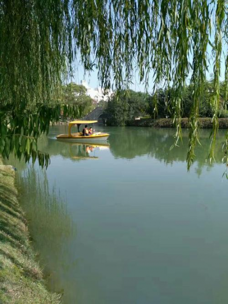 图片1.png