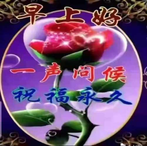 -66da10c018532963.jpg