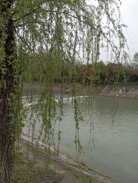 微信图片_20220328083517.jpg