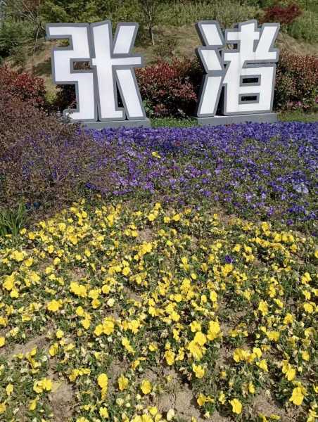 微信图片_20220421134143.jpg