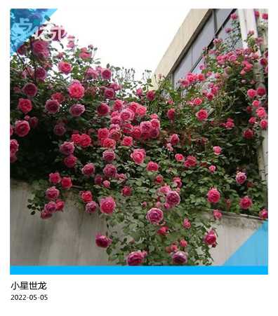 9_副本.jpg