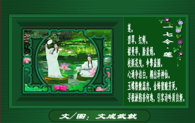214228ut84w9st7yx71whn.gif