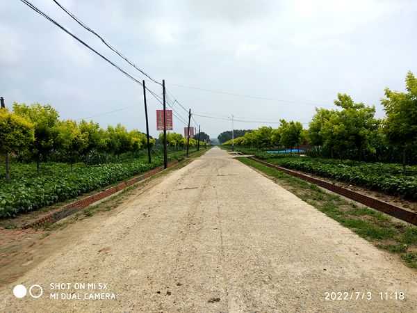IMG_20220703_111845_副本.jpg
