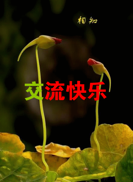 101837zf85e4s5iy475r99_副本.gif