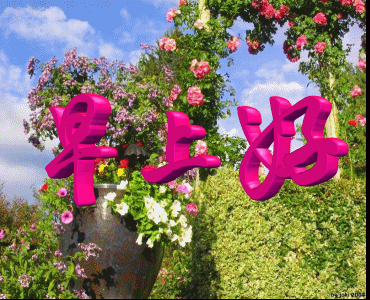 074511u1z7kktnn3n71n1l.gif