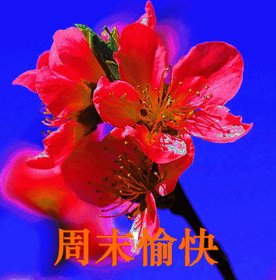 115321lalaaxj6rrwxrw8x.gif