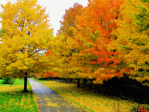 src=http___img.sj33.cn_uploads_allimg_201103_20110331091715497.jpg&amp;refer=http___.gif