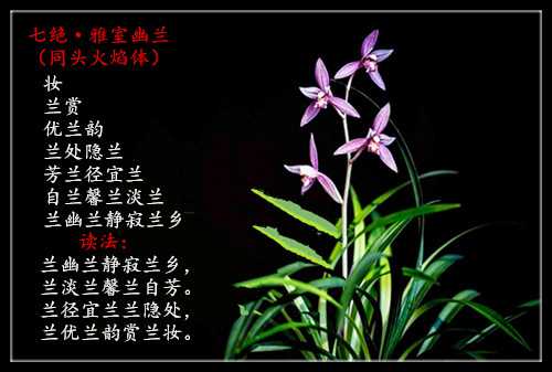 4048c9e126b1ba46888634edc93cdc6b_副本.jpg