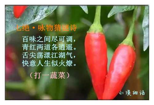 39f69ee8ea9f10cfa293caaf113bae75_副本.jpg