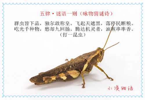 02553fc23955b50a77e1f4ba1fcd9b2b_副本.jpg