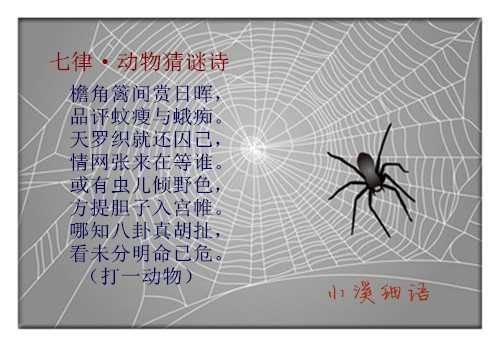 64ae00991890309785a8df213aa3b0f2_副本.jpg