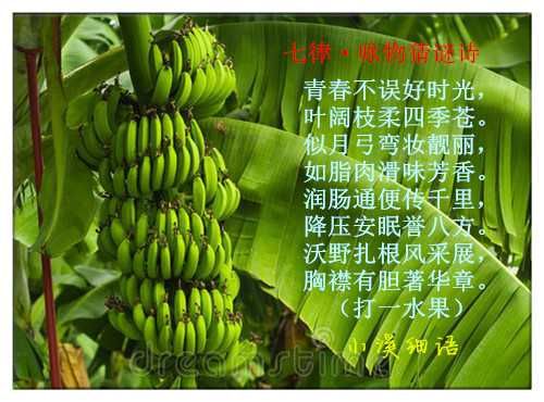 d4183deb2e9f1eb0257d851e8b11bd44_副本.jpg