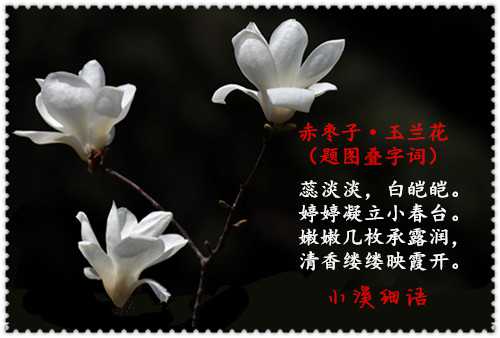 79edbf0764a4175e818408b5e6f207dc_副本.jpg