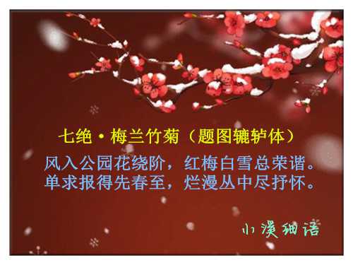 912257a829cb8ff083d610c4ccef0a69_副本.jpg