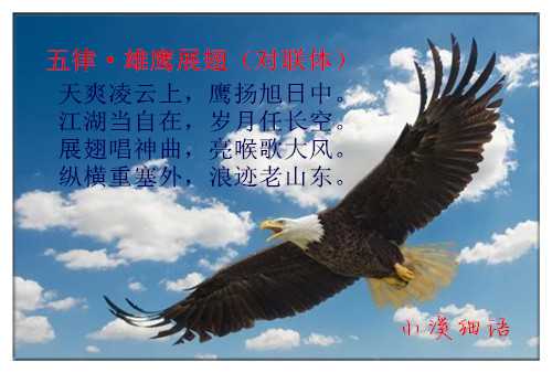 1676890_副本.jpg