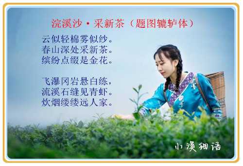56f1d1cb92b7c81c81bccea1cd0b1911_副本.jpg