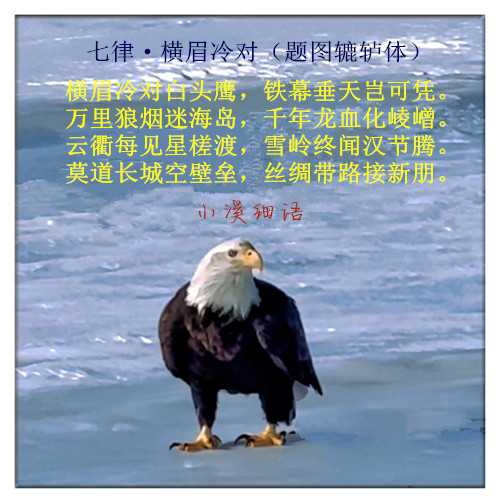 ba08a260fa50c5b3beb199605a40217c_副本.jpg