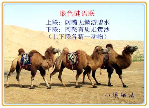 71c9c2dd45f97da8cce0ec63cba8da84_副本.jpg